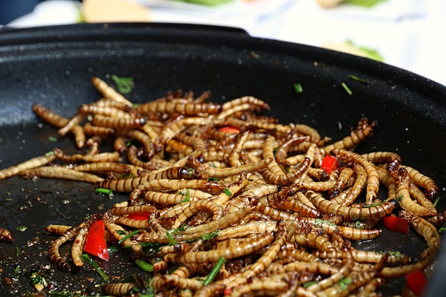 Naše gastronomické vyhlídky